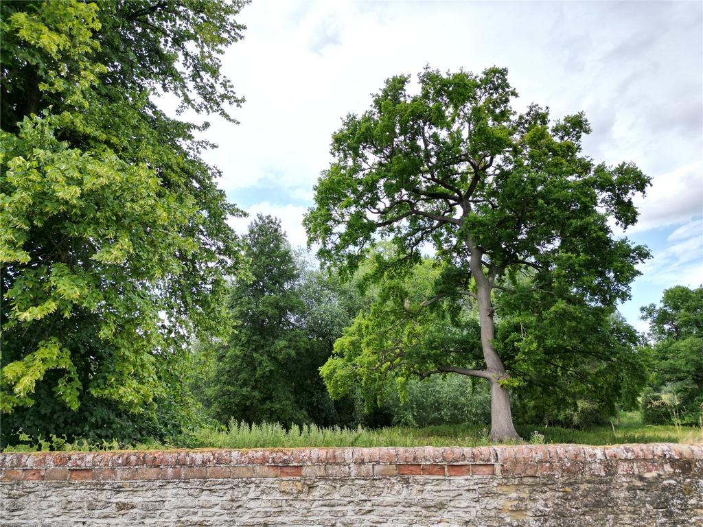 View To Front