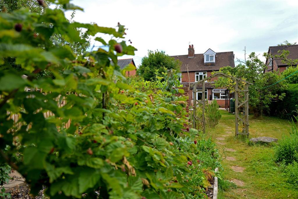 Dsc 4551.jpg