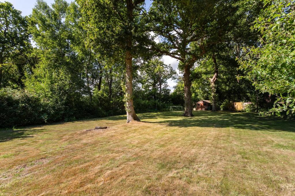 Silver Birches-5.jpg