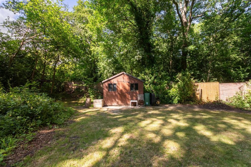 Silver Birches-6.jpg