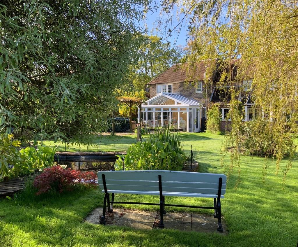 Garden from Bench