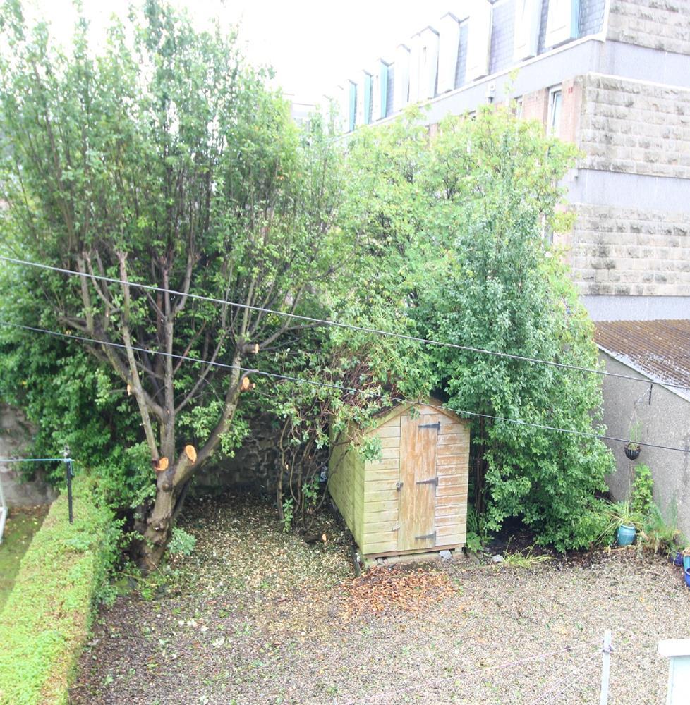 Garden 2