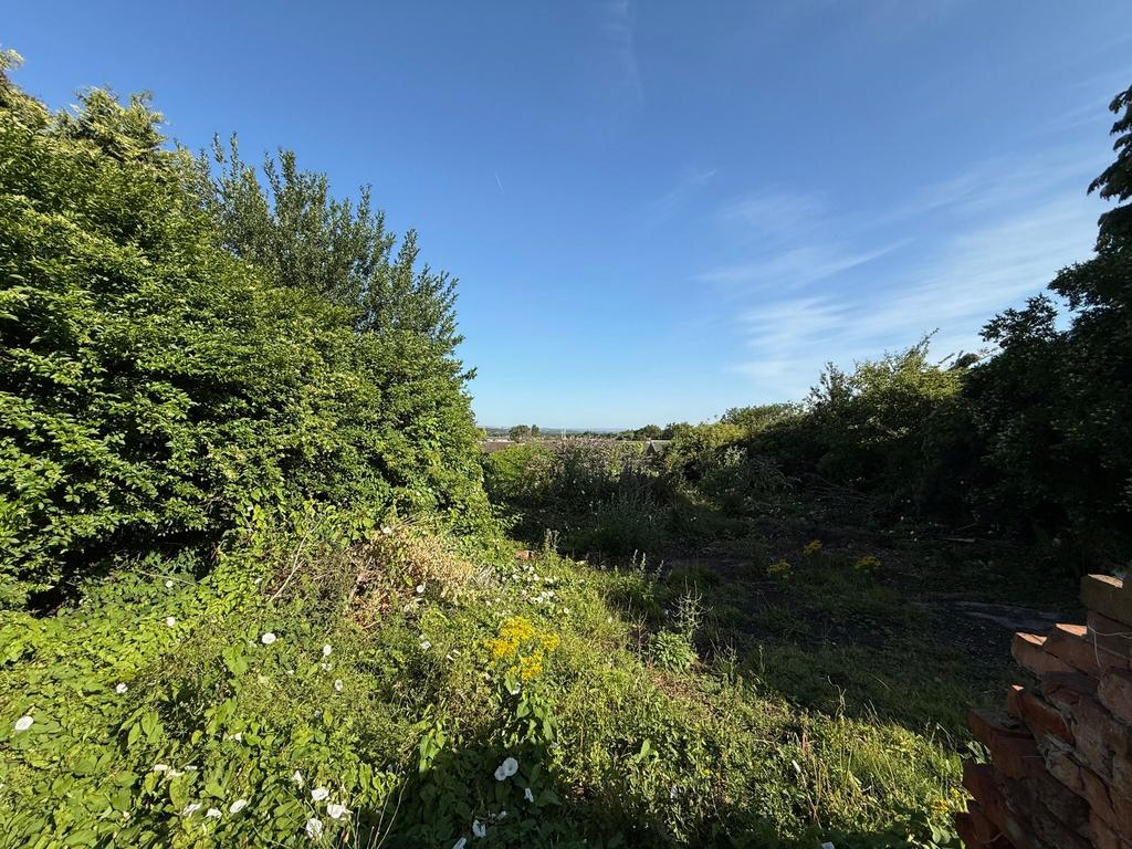 Photograph 6