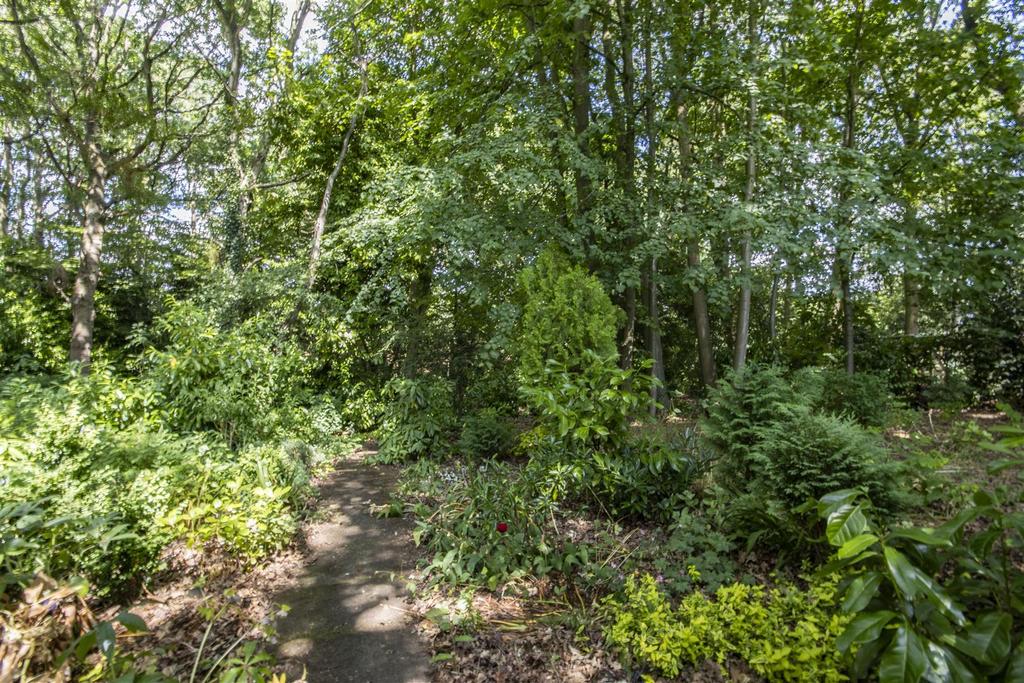 Woodland