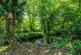 Additional image 6 of Swansea Road, Pontardawe, Swansea