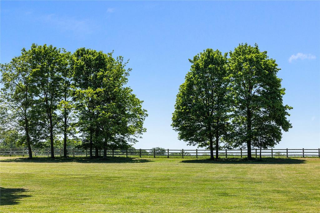 Parkland