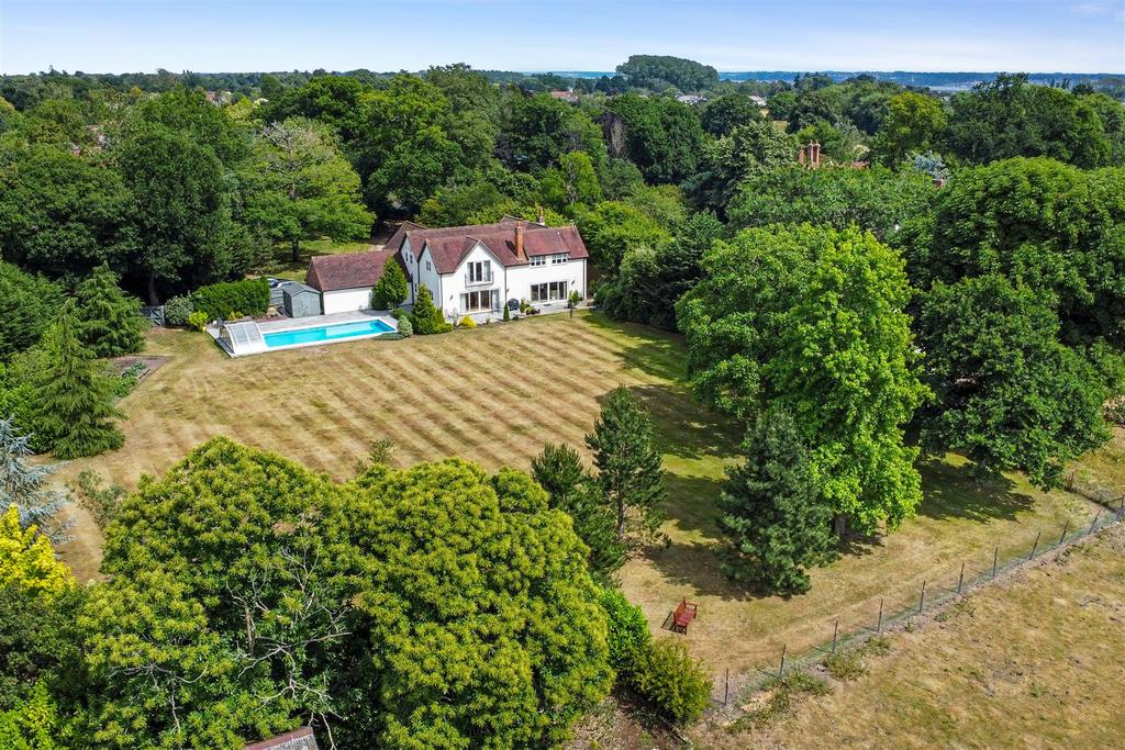 Drone