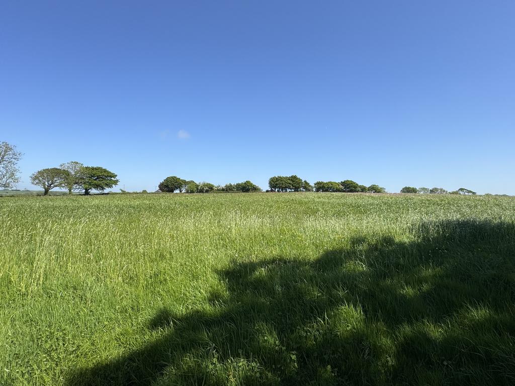 The land