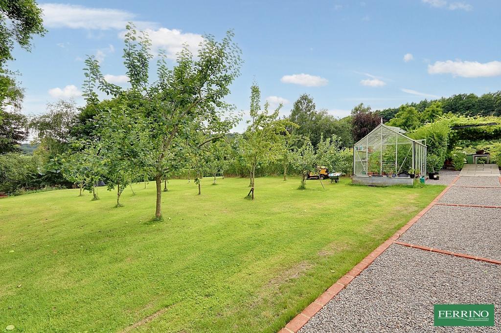 Orchard