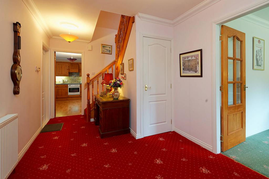 MFL0247024 578.jpg