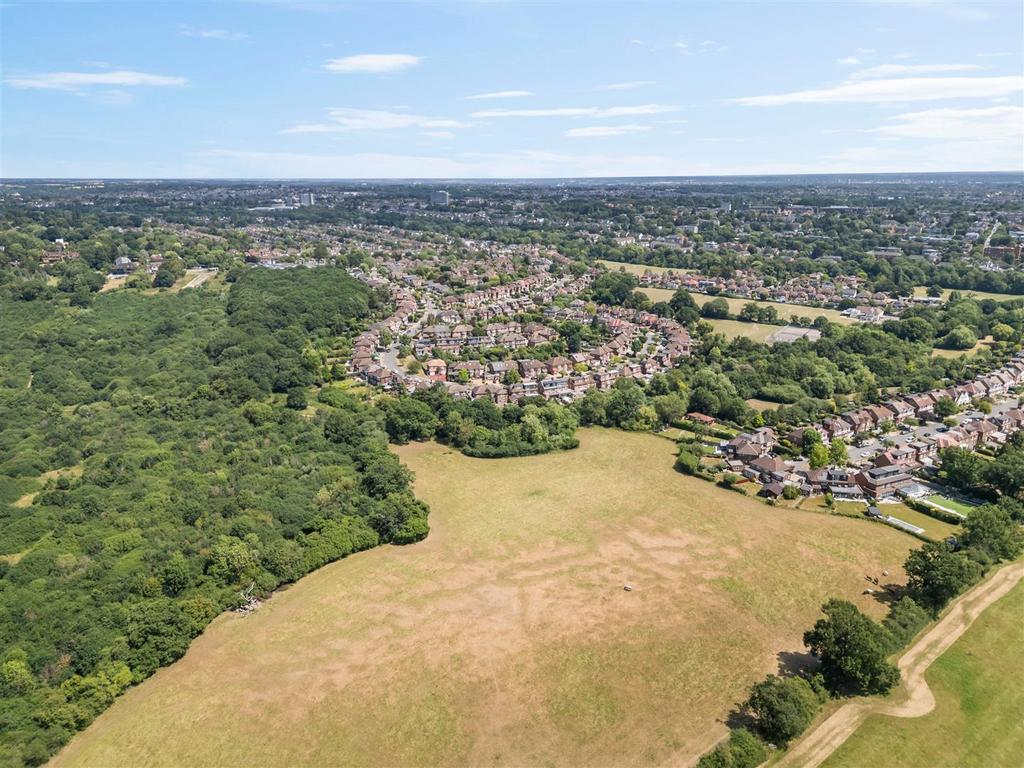 Michleham Down-No Watermark-7.jpg
