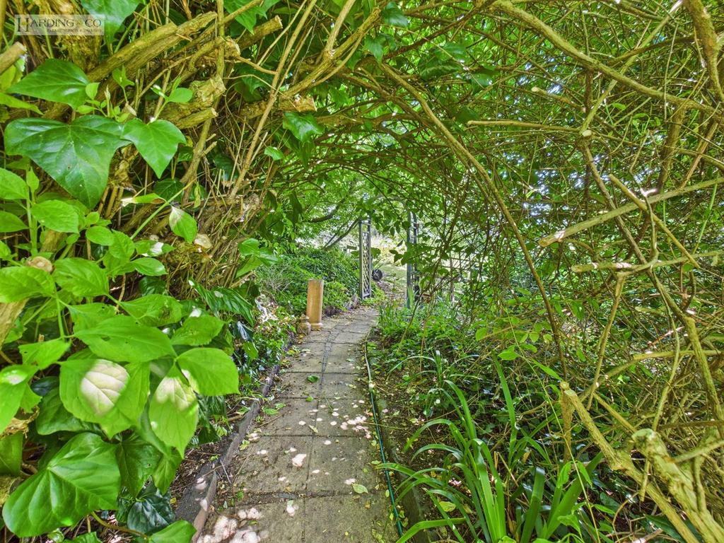 Garden iii.jpg