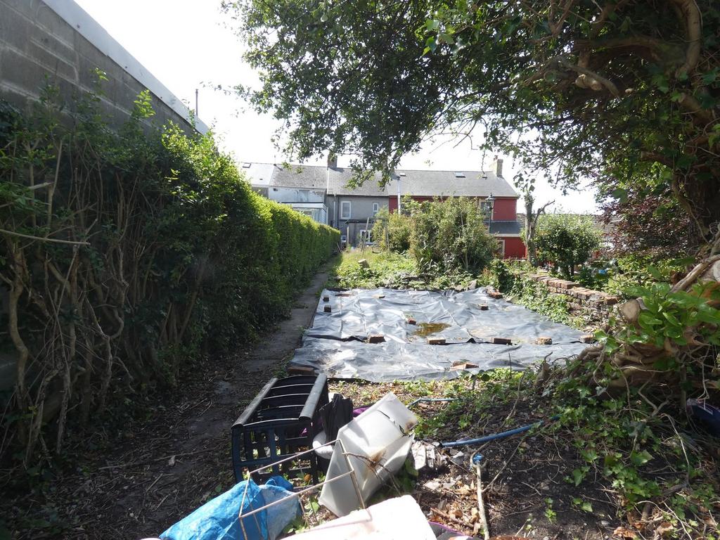 Rear Garden 2