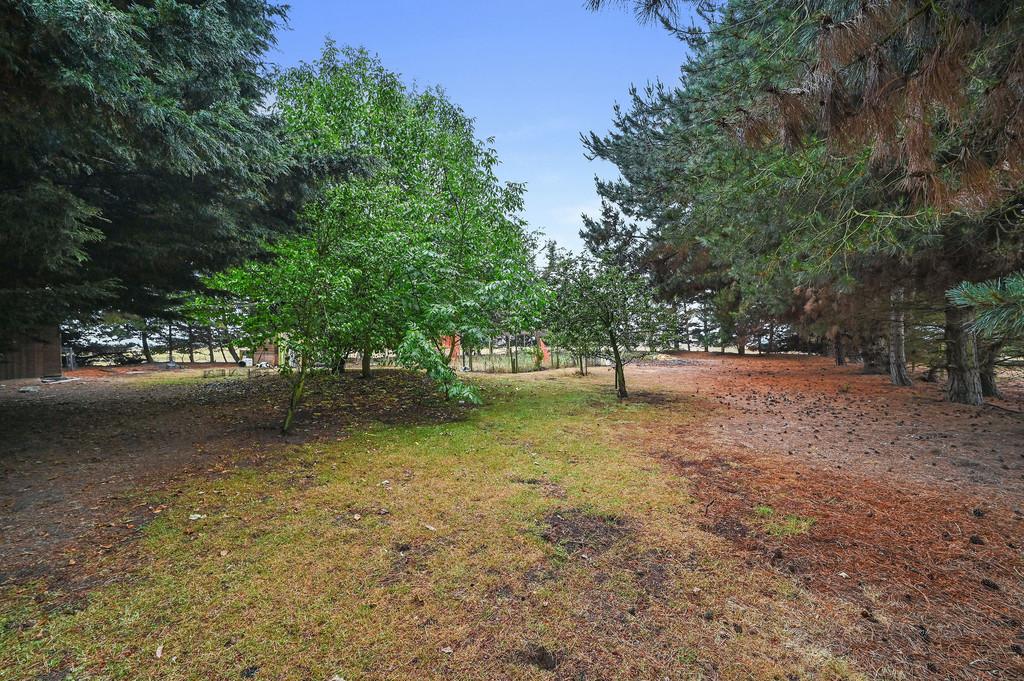 PT-FC(COL)-Dale Hill Cottage-45