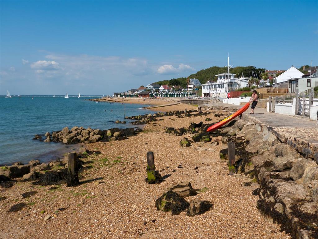 Gurnard