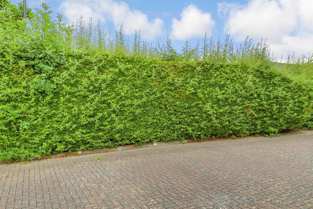 Driveway/Parking