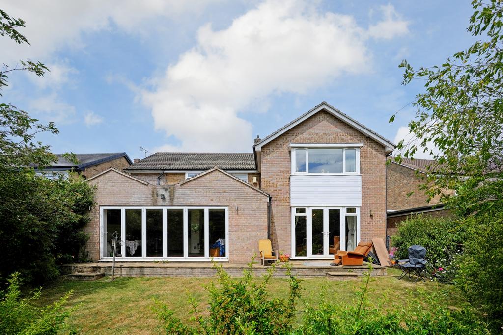 Rear Elevation