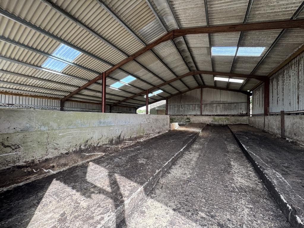 Loose Cattle Building