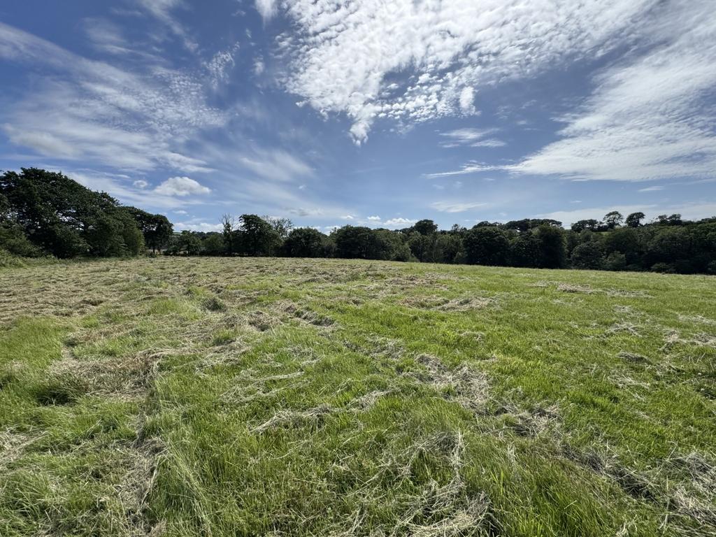The land