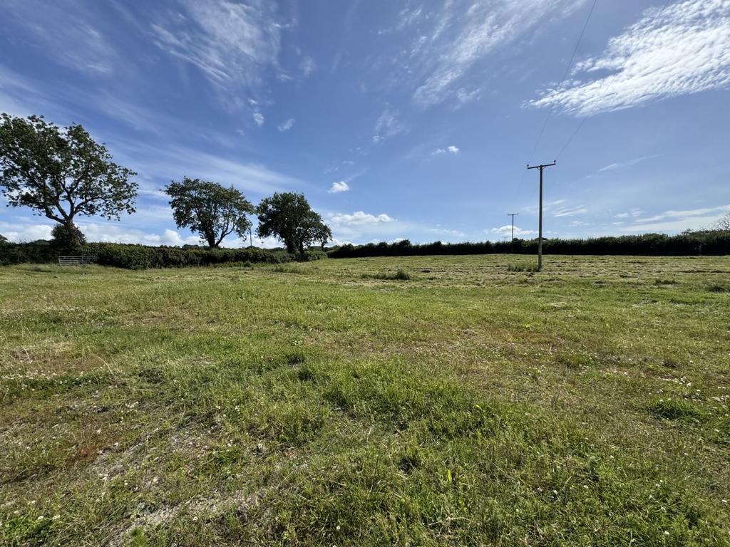 The land