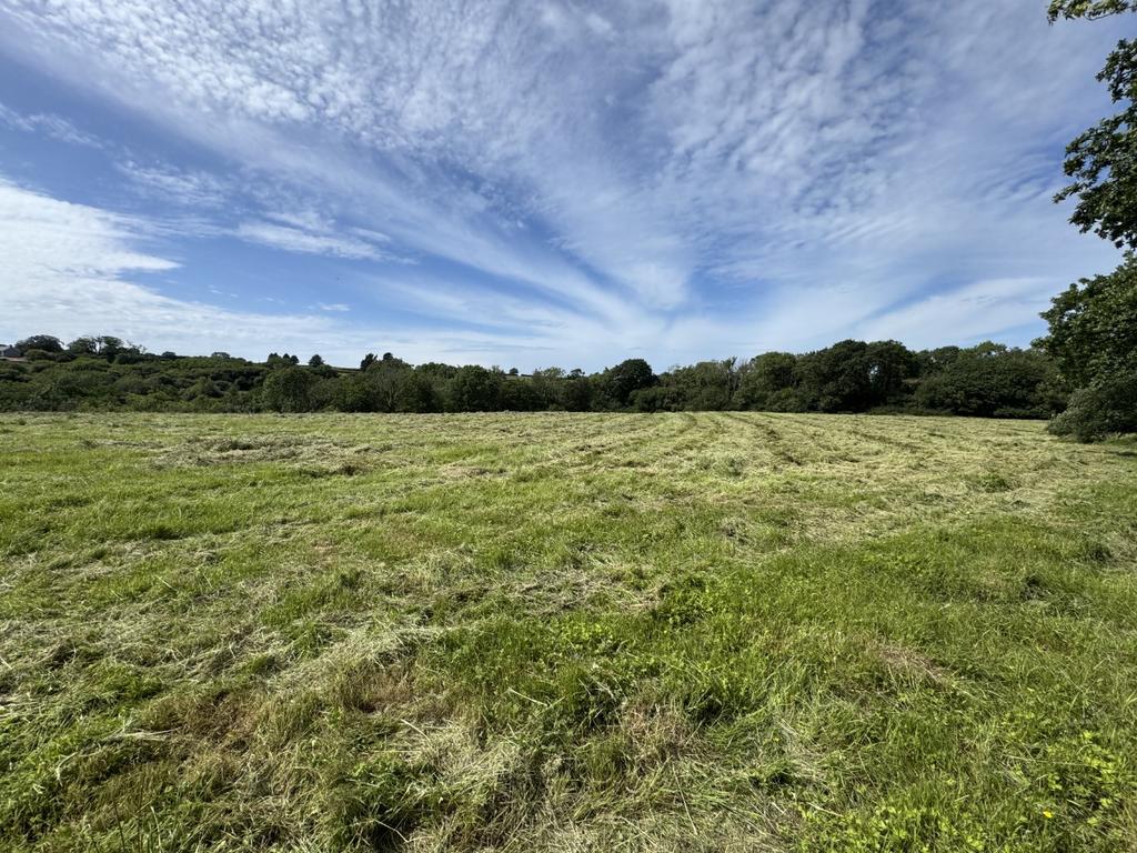 The land