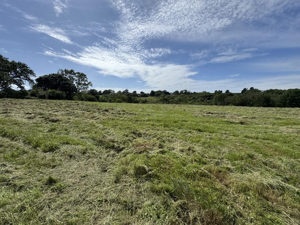 The land