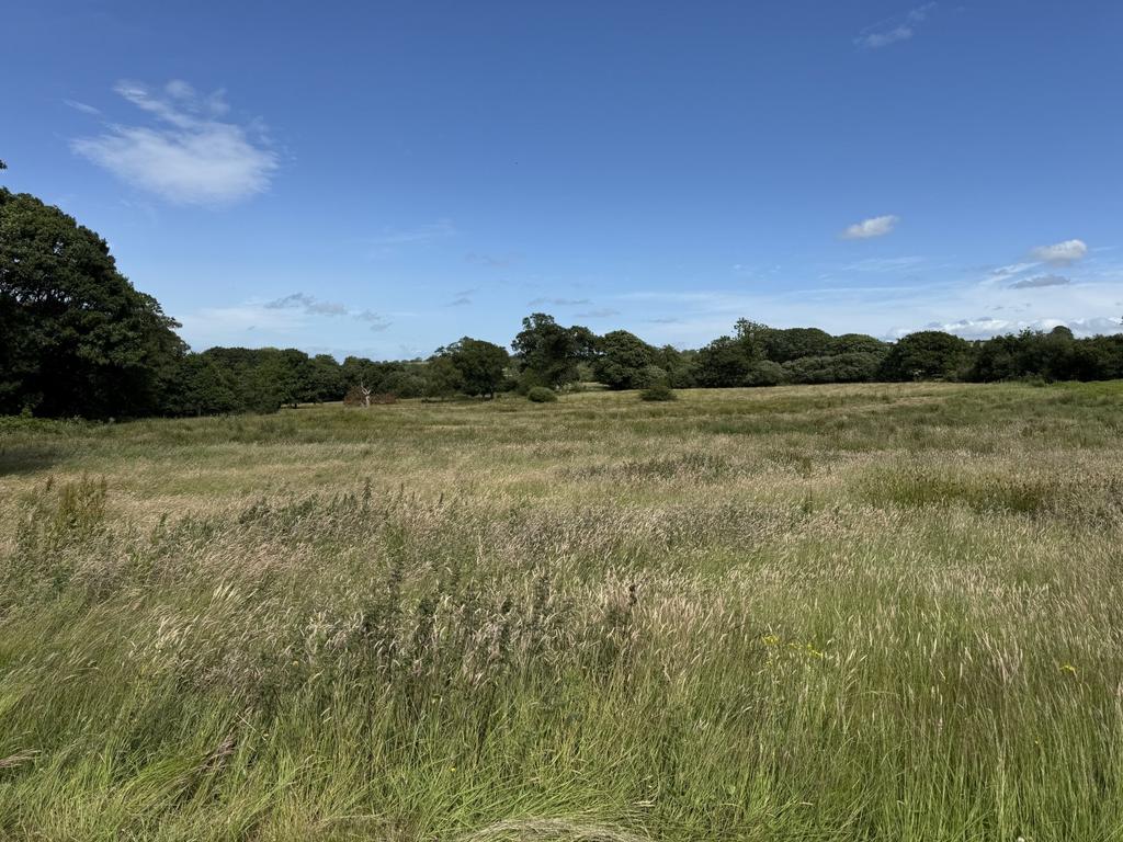 The land