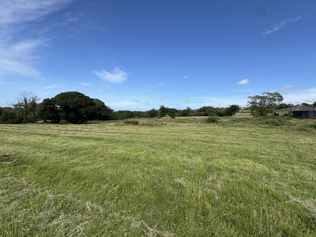 The land