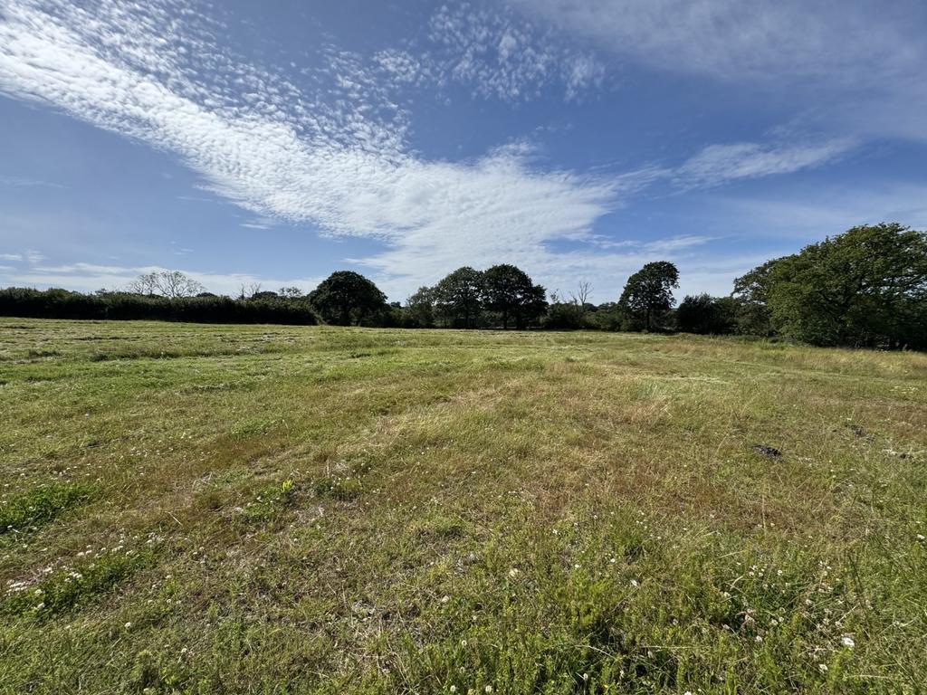 The land