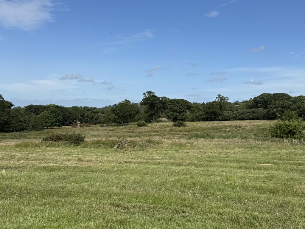 The land