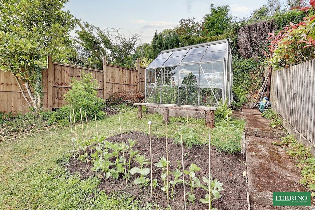 Vegetable Garden