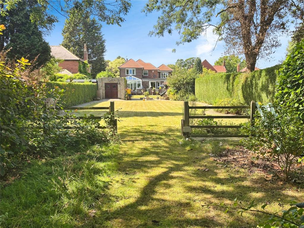 Rear Gardens