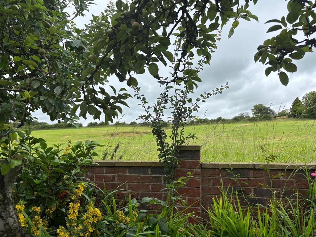 Open view