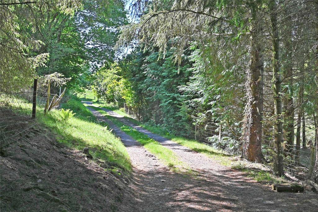 Entrance Drive