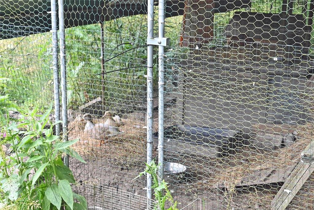 Poultry Housing