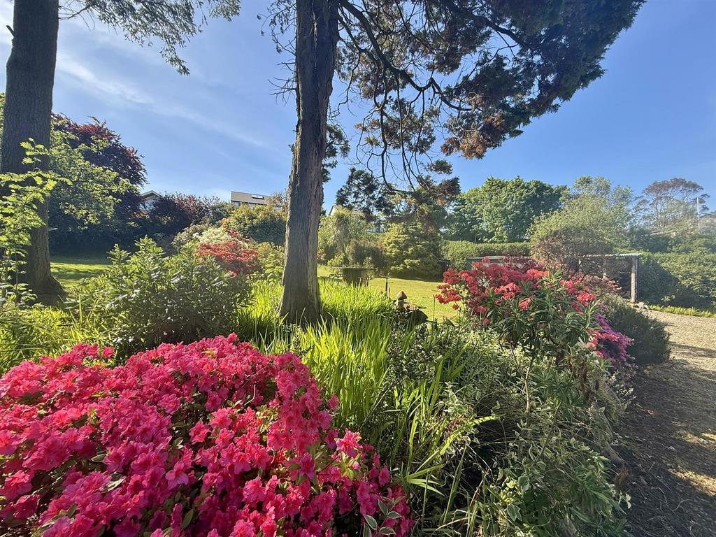 Rear gardens