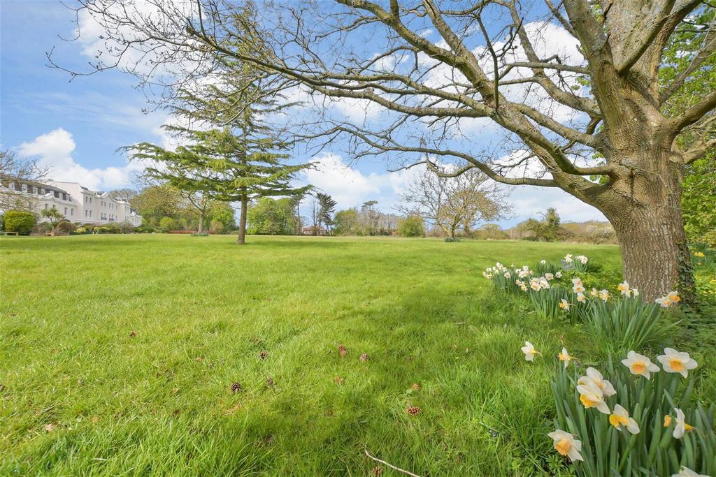 Grounds