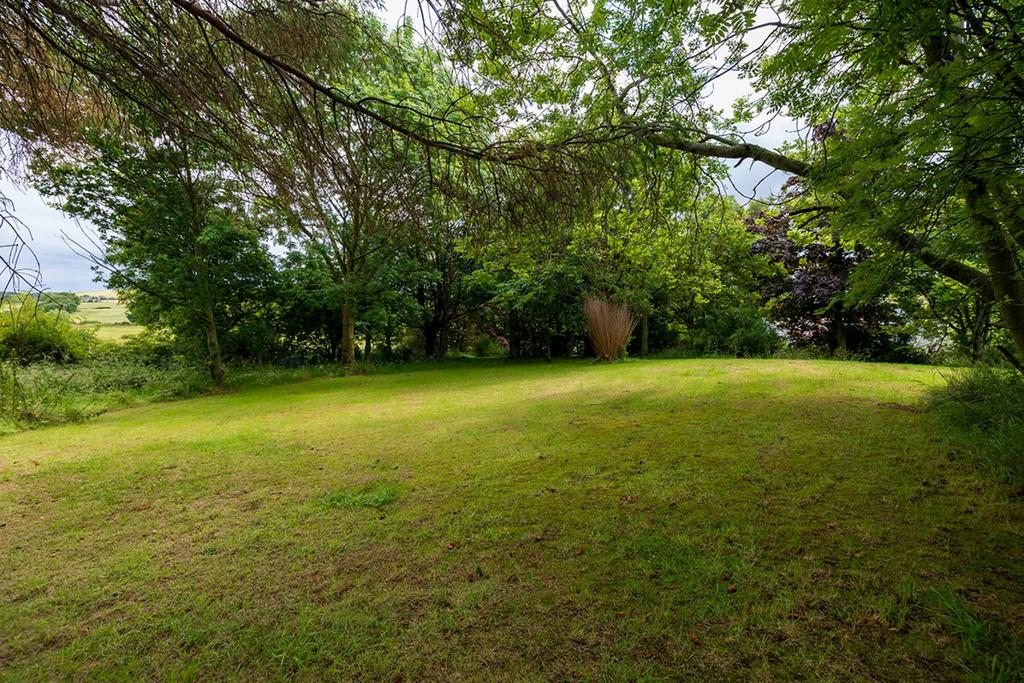 MFL7242052 095.jpg