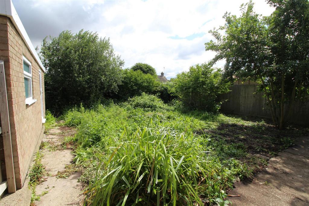 Garden .JPG
