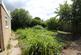 Garden .JPG