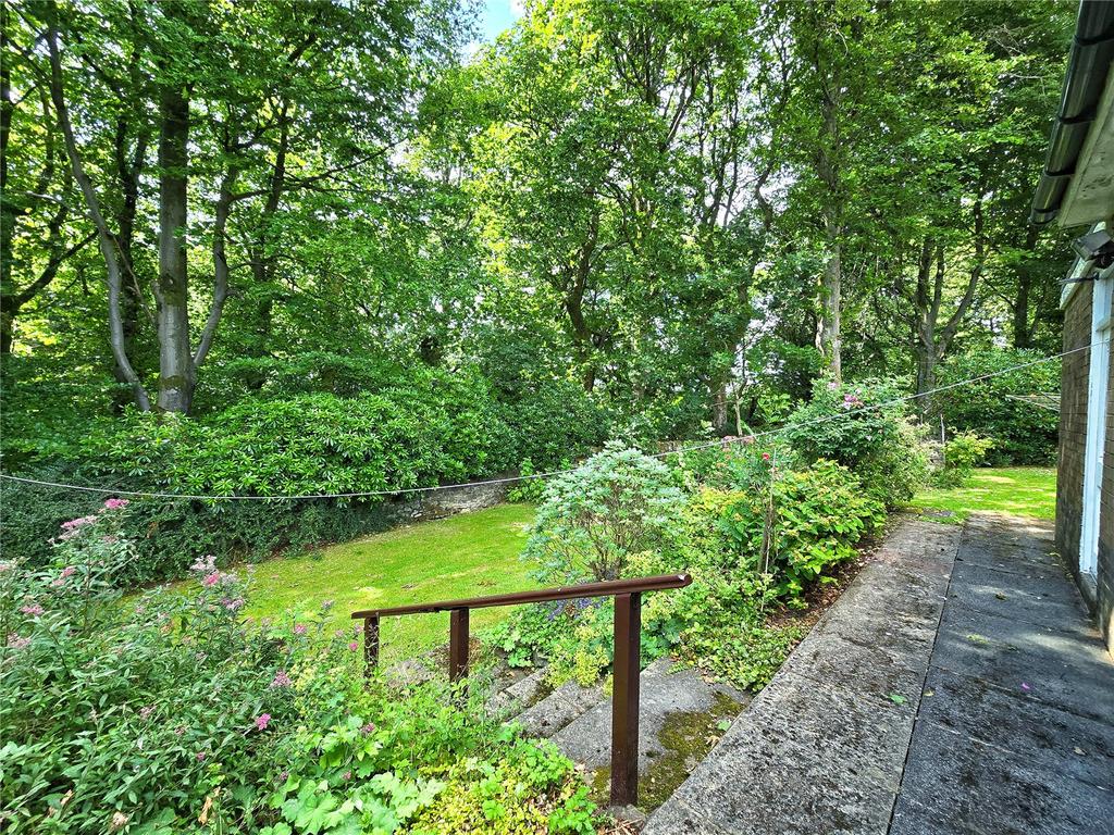 Rear Garden Views