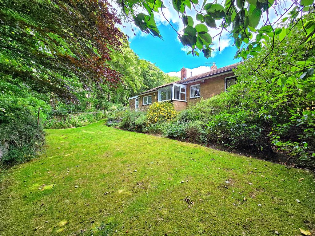 Rear Gardens