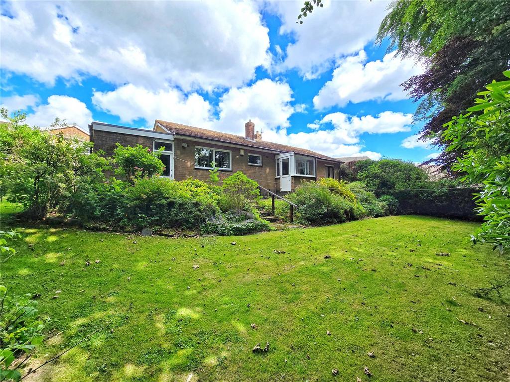 Rear Gardens