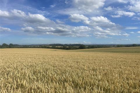 Land to rent, Arable Land To Let, Bawdrip, Bridgwater, Somerset, TA7