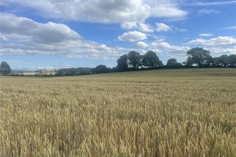 Land to rent, Arable Land To Let, Bawdrip, Bridgwater, Somerset, TA7