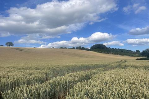 Land to rent, Arable Land To Let, Bawdrip, Bridgwater, Somerset, TA7