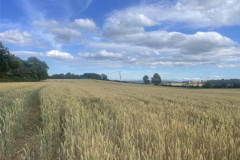 Land to rent, Arable Land To Let, Bawdrip, Bridgwater, Somerset, TA7