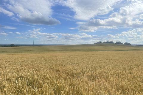 Land to rent, Arable Land To Let, Bawdrip, Bridgwater, Somerset, TA7