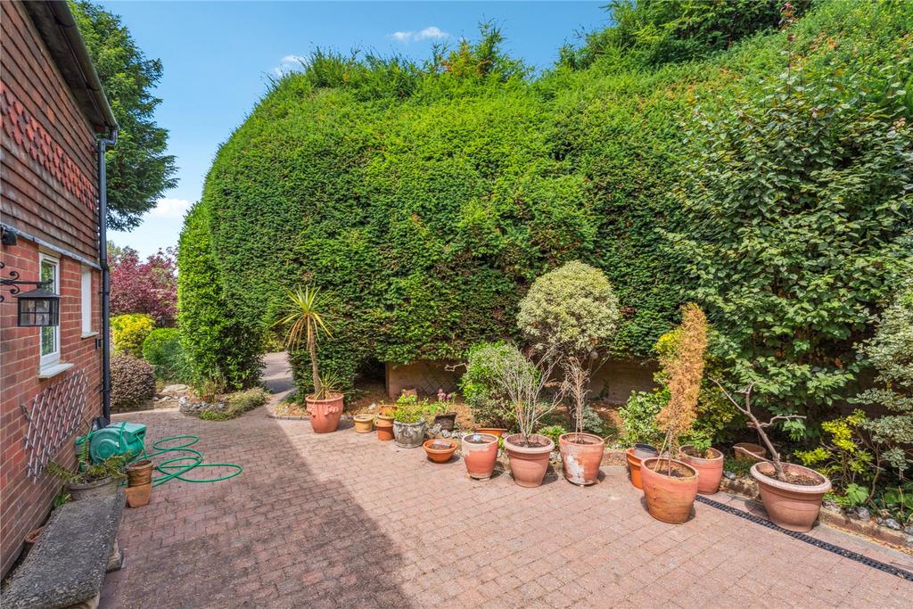 Rear Patio