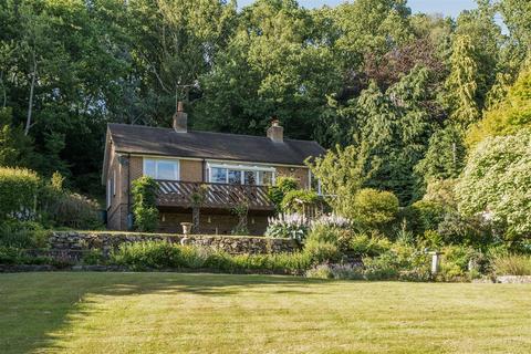 undefined, The Dale, Ashley